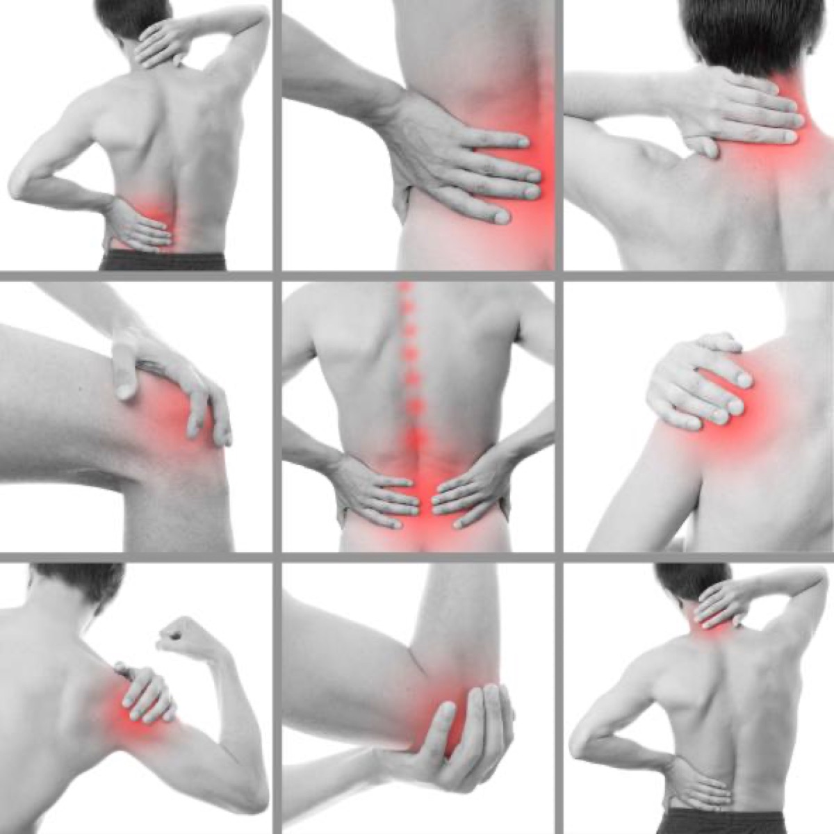 Sistema muscular: lesiones del músculo
(segunda parte)