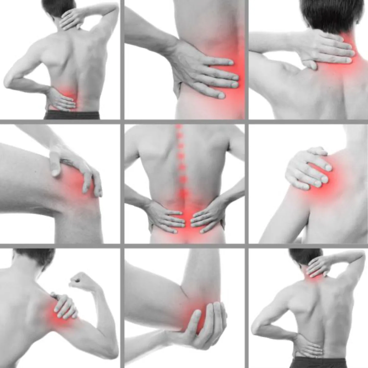 Rehabilitación · Sistema muscular: lesiones del músculo
(segunda parte)