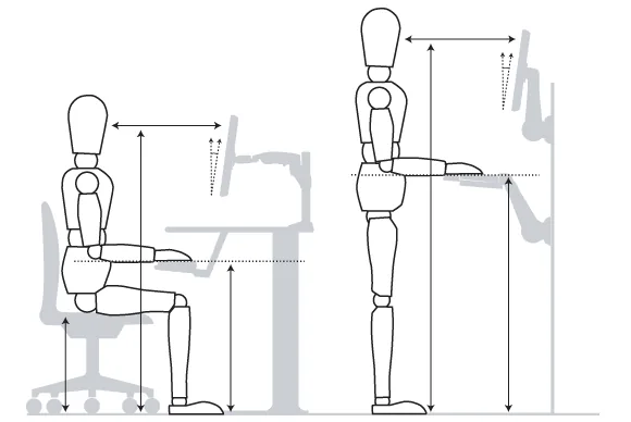 Rehabilitación · Ergonomía Laboral - Cuida tu salud mientras trabajas