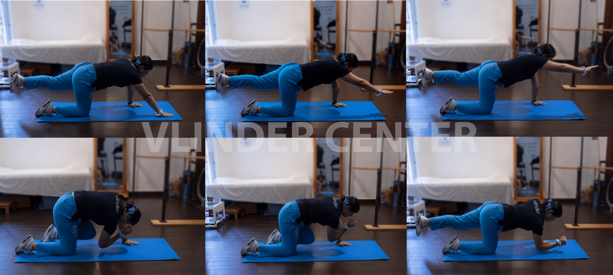 Desbalances musculares