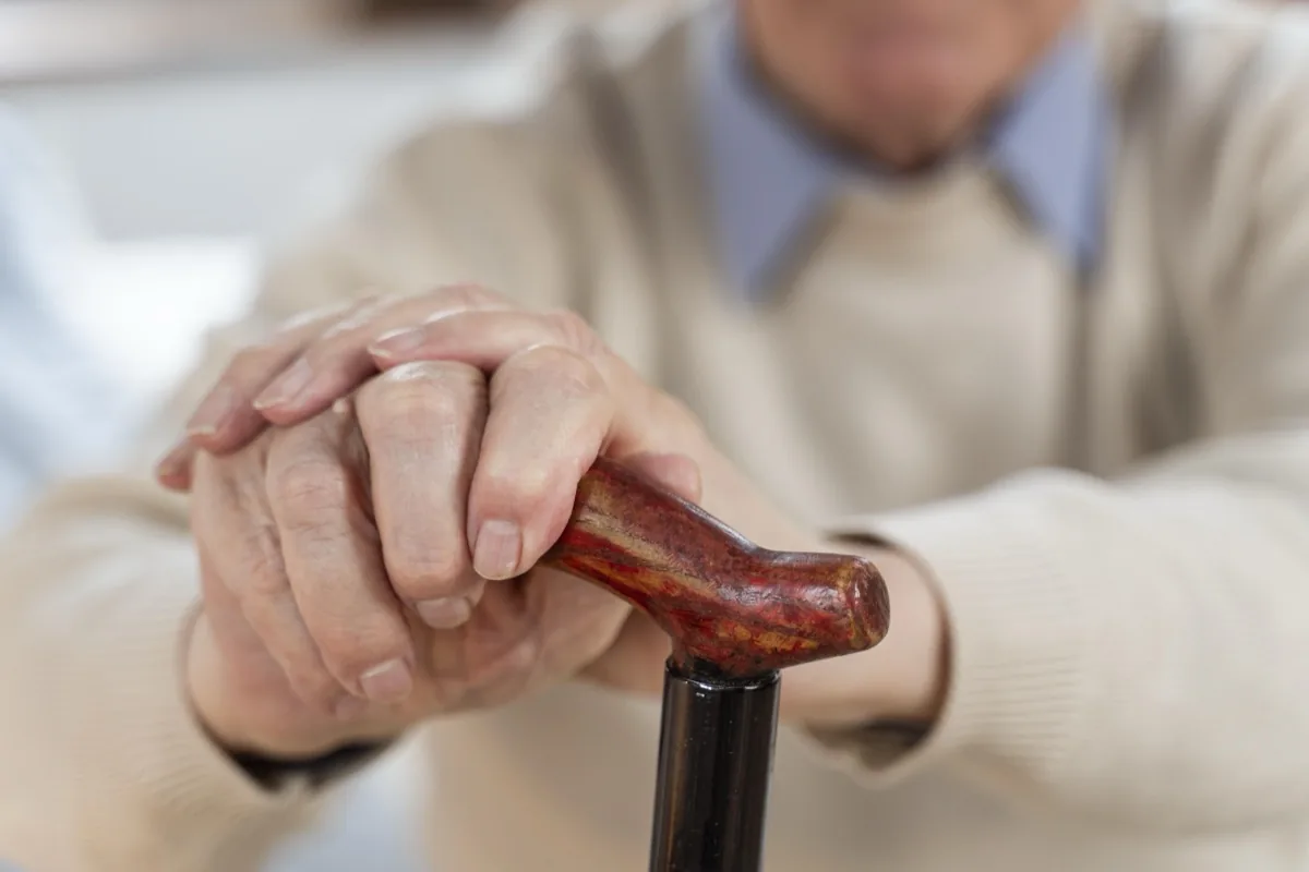Rehabilitación · Fisioterapia en geriatría: Ejercicios de fortalecimiento y prevención de caídas