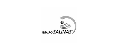 Grupo Salinas