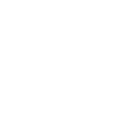 Hogar Canino Vida Nueva